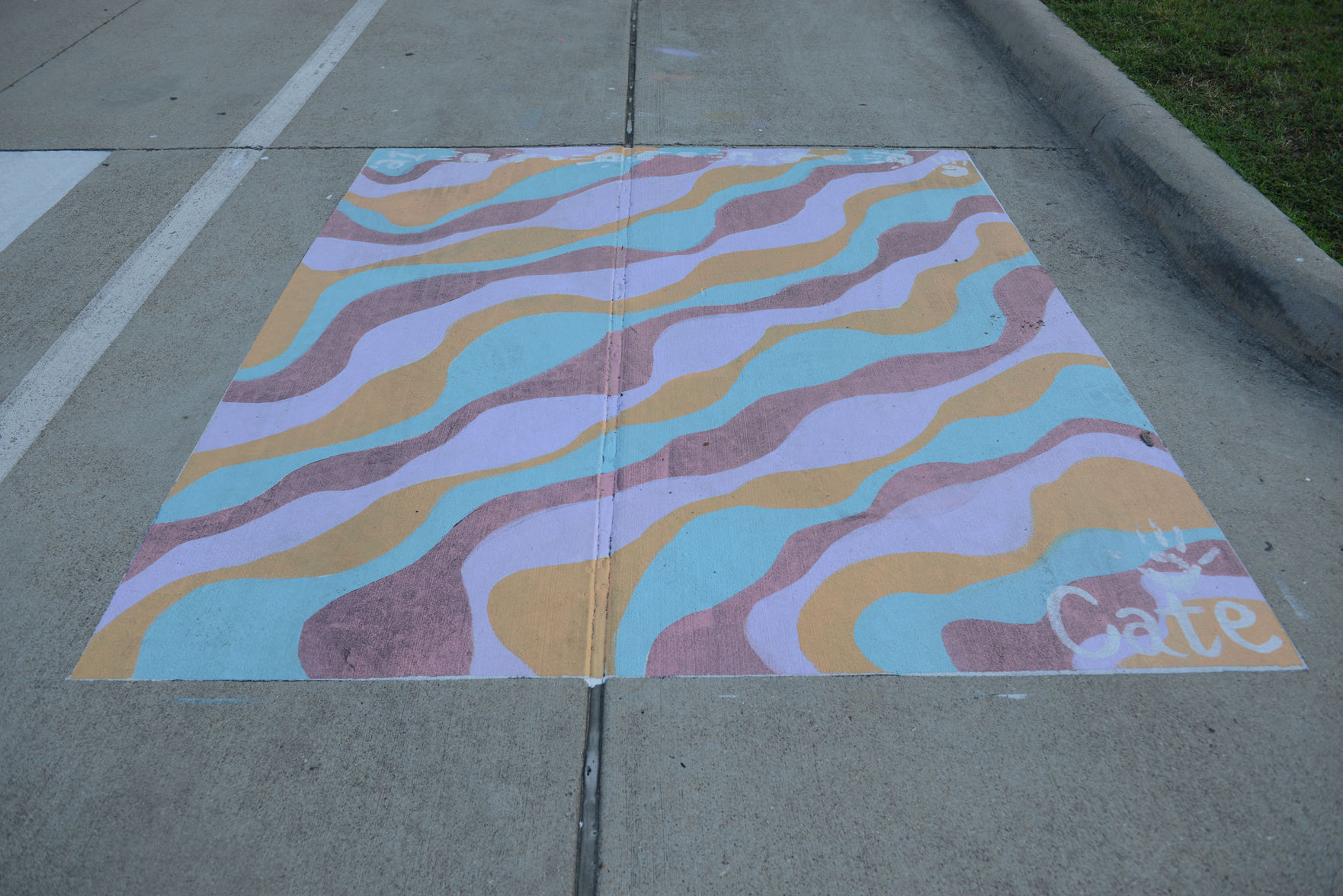 A&M Consolidated HS painted parking spots
